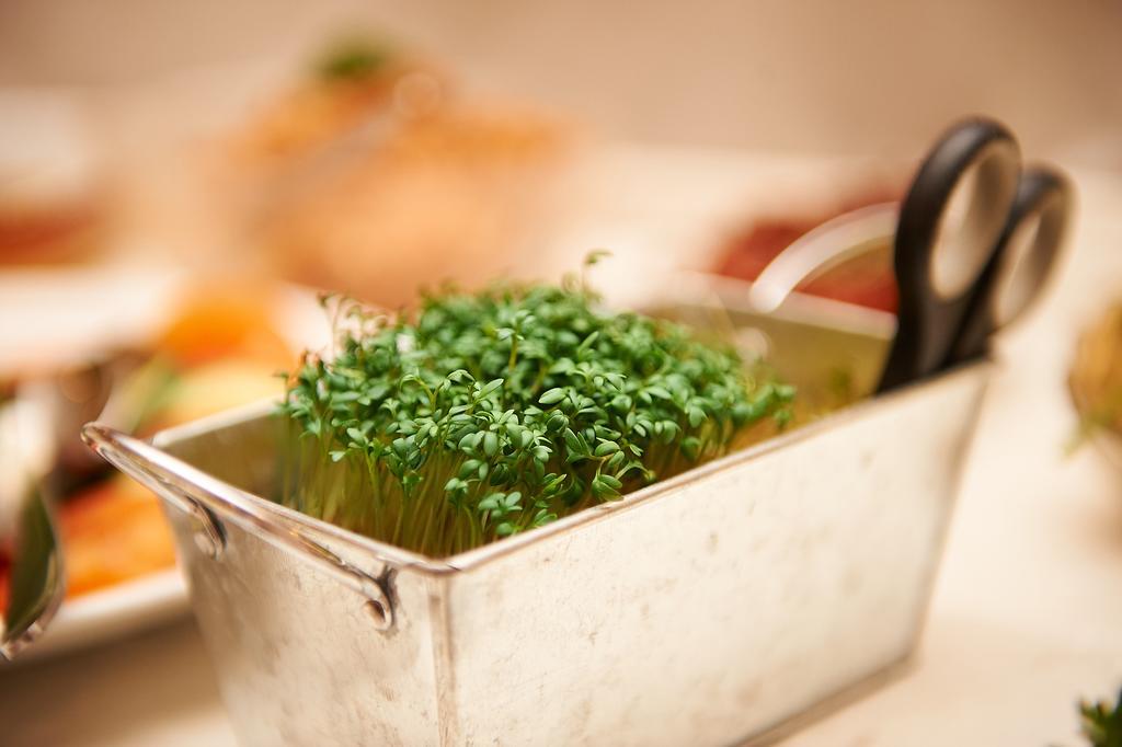 Vegan Hotel Und Restaurants Nicolay 1881 زلتنغن راختخ المظهر الخارجي الصورة